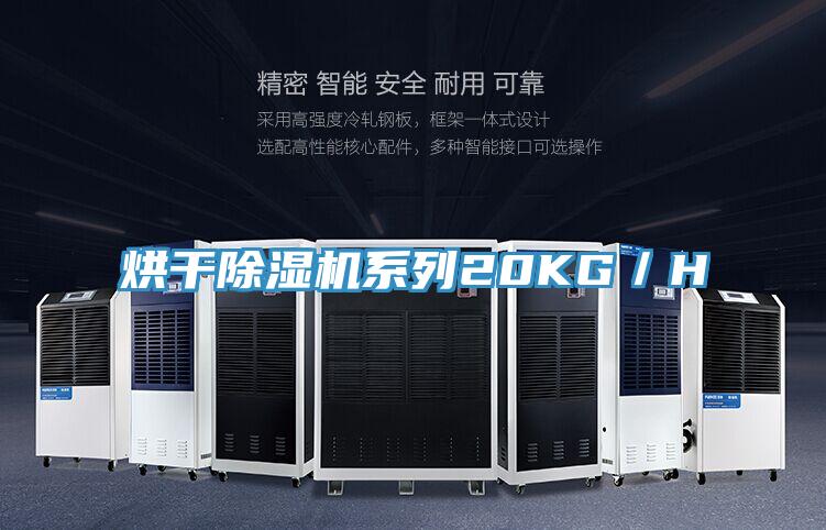 烘干抖音成人版下载系列20KG／H