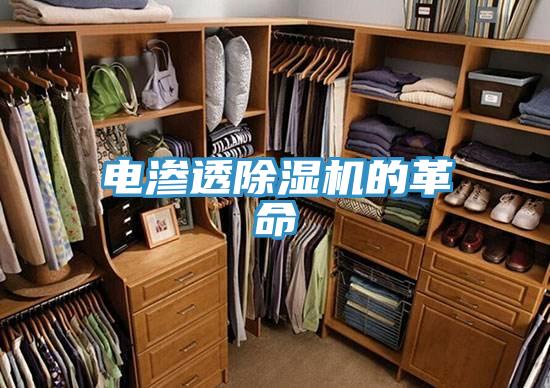 电渗透抖音成人版下载的革命