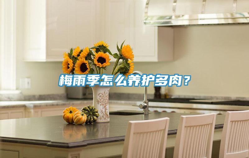 梅雨季怎么养护多肉？