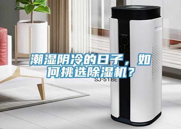 潮湿阴冷的日子，如何挑选抖音成人版下载？