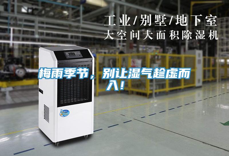 梅雨季节，别让湿气趁虚而入！