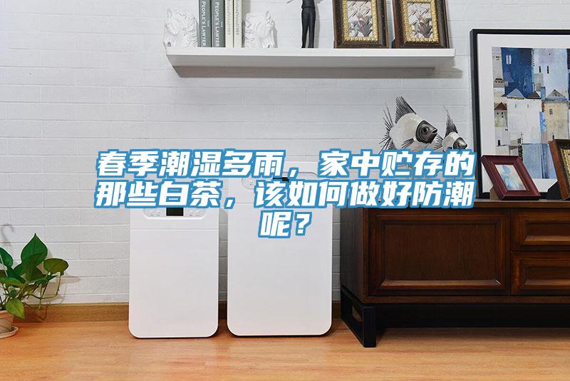 春季潮湿多雨，家中贮存的那些白茶，该如何做好防潮呢？