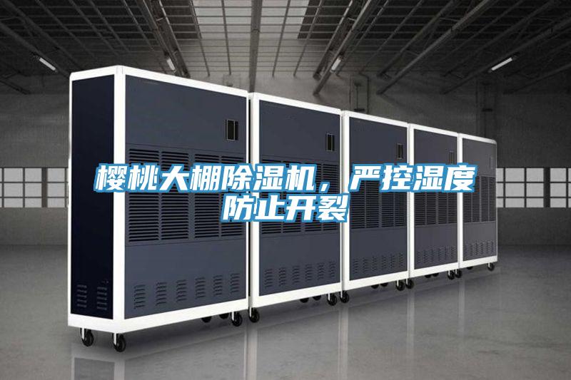 樱桃大棚抖音成人版下载，严控湿度防止开裂