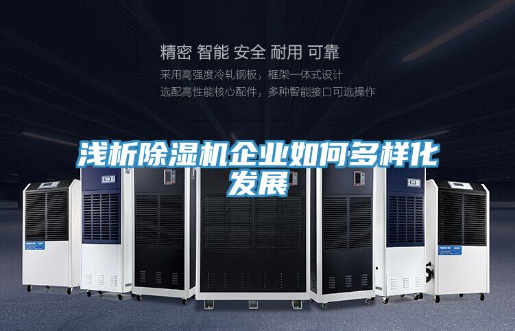 浅析抖音成人版下载企业如何多样化发展