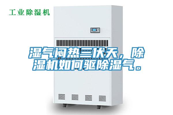 湿气闷热三伏天，抖音成人版下载如何驱除湿气。