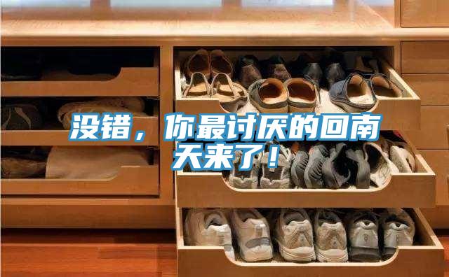 没错，你最讨厌的回南天来了！