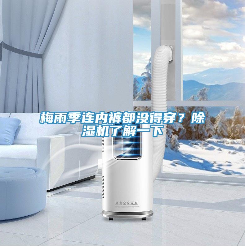 梅雨季连内裤都没得穿？抖音成人版下载了解一下