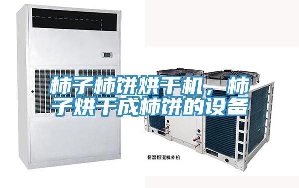 柿子柿饼烘干机，柿子烘干成柿饼的设备