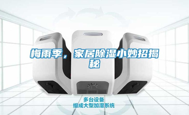 梅雨季，家居除湿小妙招揭秘