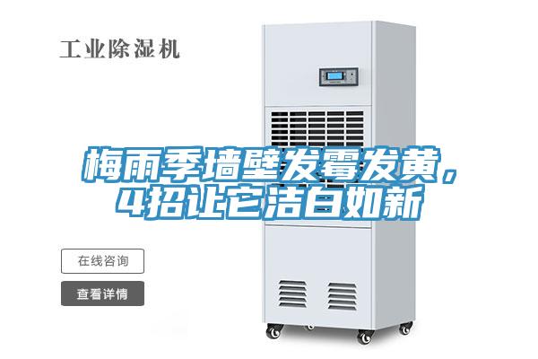 梅雨季墙壁发霉发黄，4招让它洁白如新