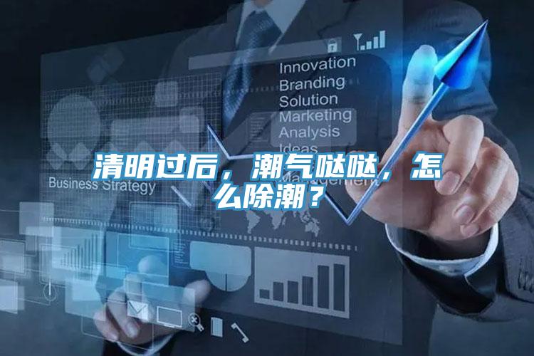 清明过后，潮气哒哒，怎么除潮？