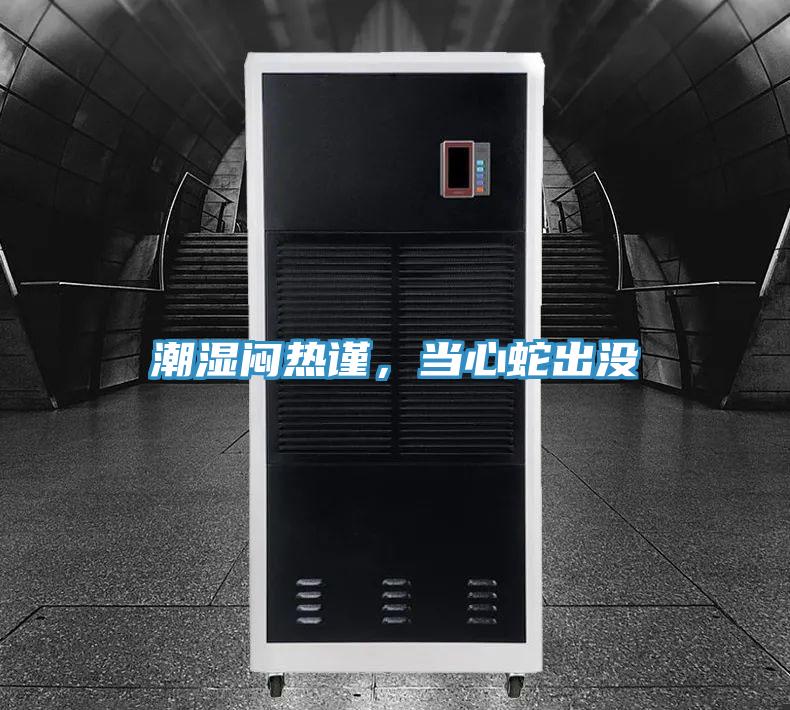 潮湿闷热谨，当心蛇出没