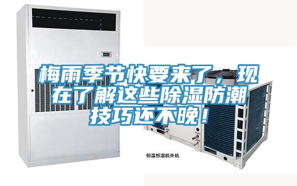 梅雨季节快要来了，现在了解这些除湿防潮技巧还不晚！