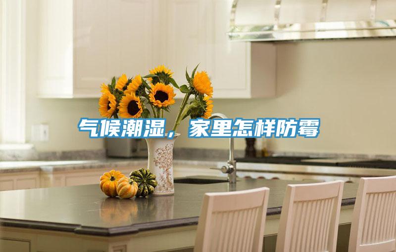 气候潮湿，家里怎样防霉