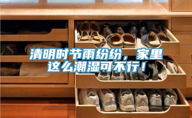 清明时节雨纷纷，家里这么潮湿可不行！