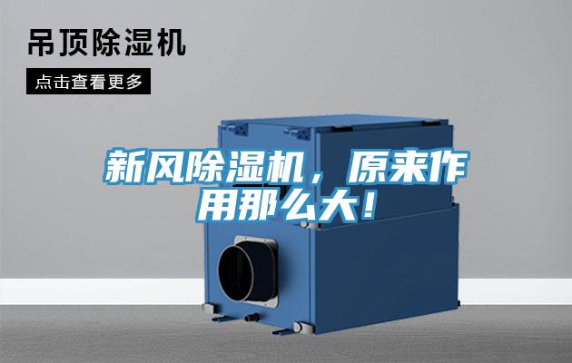 新风抖音成人版下载，原来作用那么大！