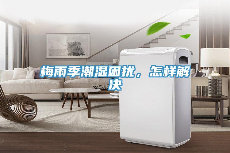 梅雨季潮湿困扰，怎样解决