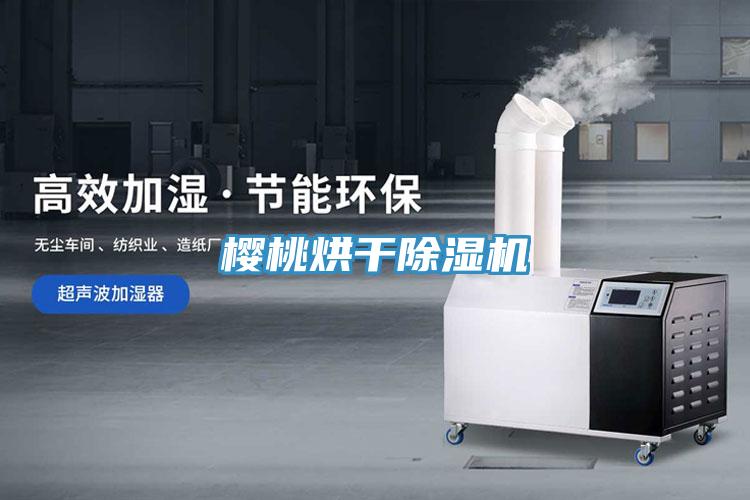 樱桃烘干抖音成人版下载