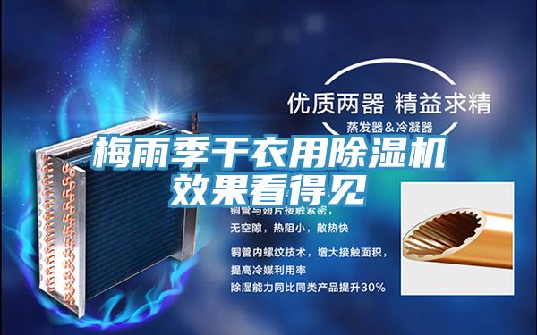 梅雨季干衣用抖音成人版下载效果看得见