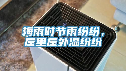 梅雨时节雨纷纷，屋里屋外湿纷纷