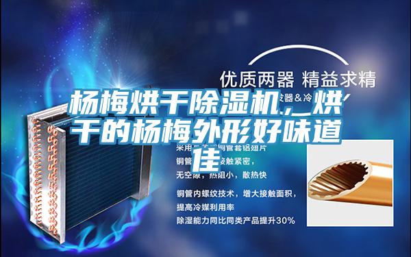 杨梅烘干抖音成人版下载，烘干的杨梅外形好味道佳