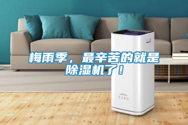 梅雨季，最辛苦的就是抖音成人版下载了！