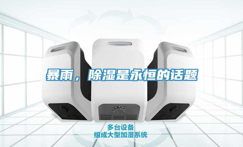 暴雨，除湿是永恒的话题