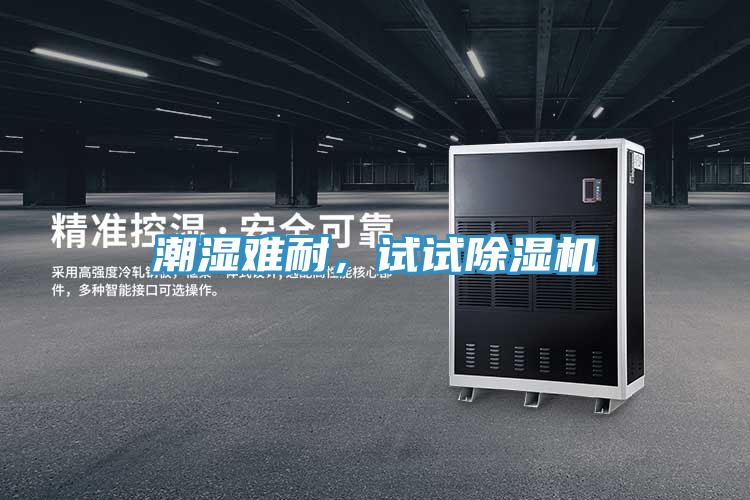 潮湿难耐，试试抖音成人版下载