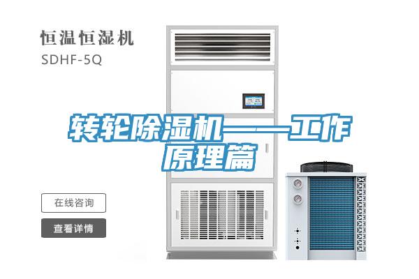 转轮抖音成人版下载——工作原理篇