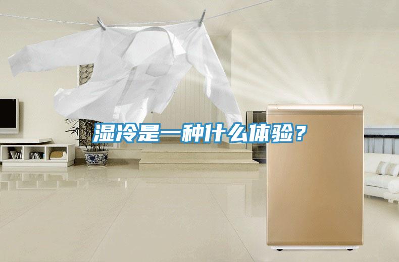 湿冷是一种什么体验？