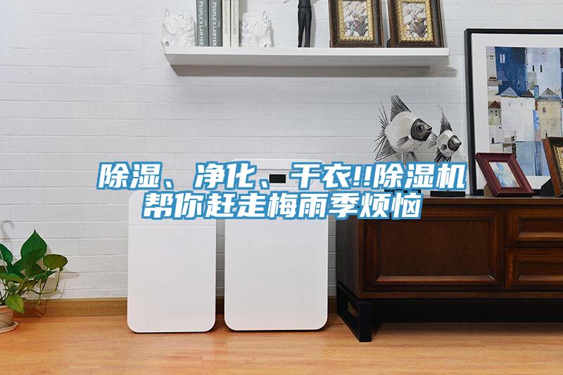 除湿、净化、干衣!!抖音成人版下载帮你赶走梅雨季烦恼