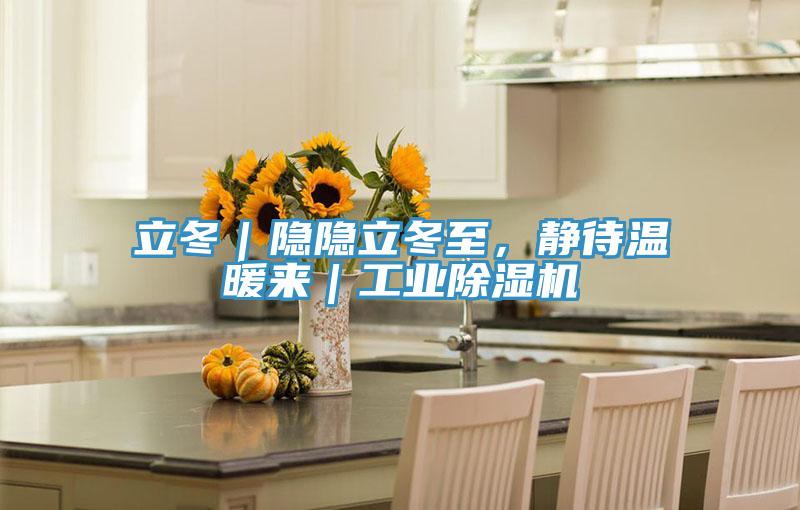 立冬｜隐隐立冬至，静待温暖来｜工业抖音成人版下载