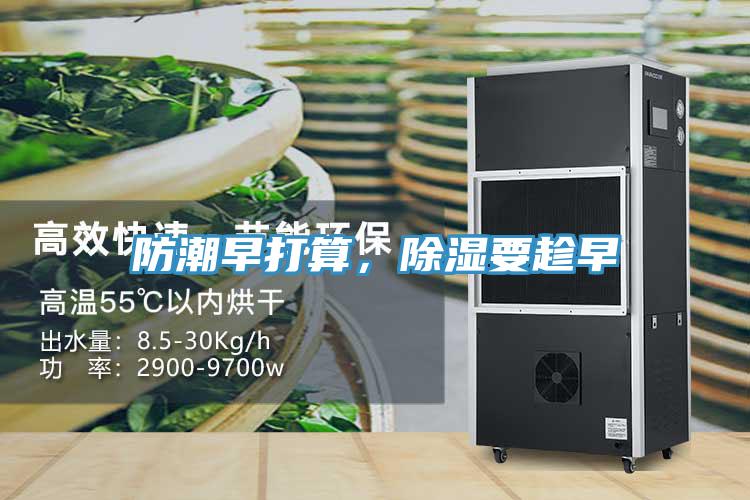 防潮早打算，除湿要趁早