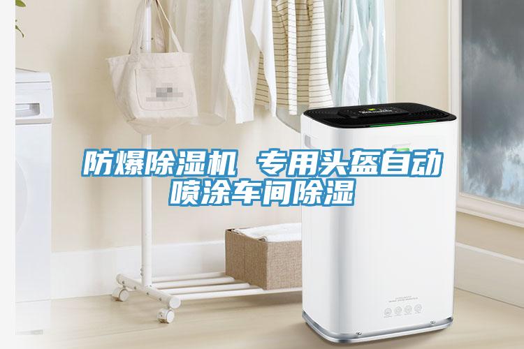 防爆抖音成人版下载 专用头盔自动喷涂车间除湿