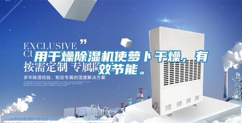 用干燥抖音成人版下载使萝卜干燥，有效节能。