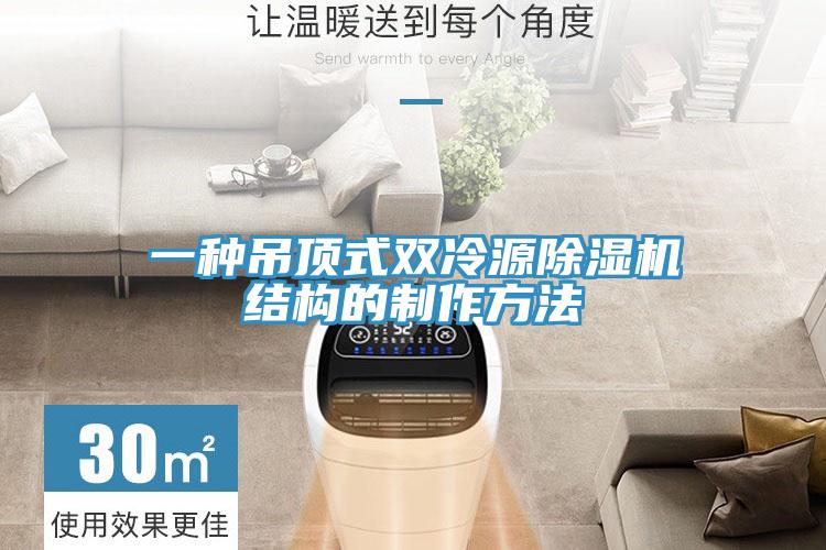 一种吊顶式双冷源抖音成人版下载结构的制作方法