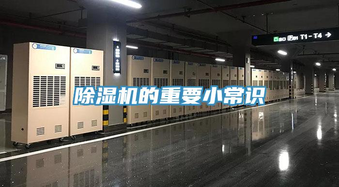 抖音成人版下载的重要小常识