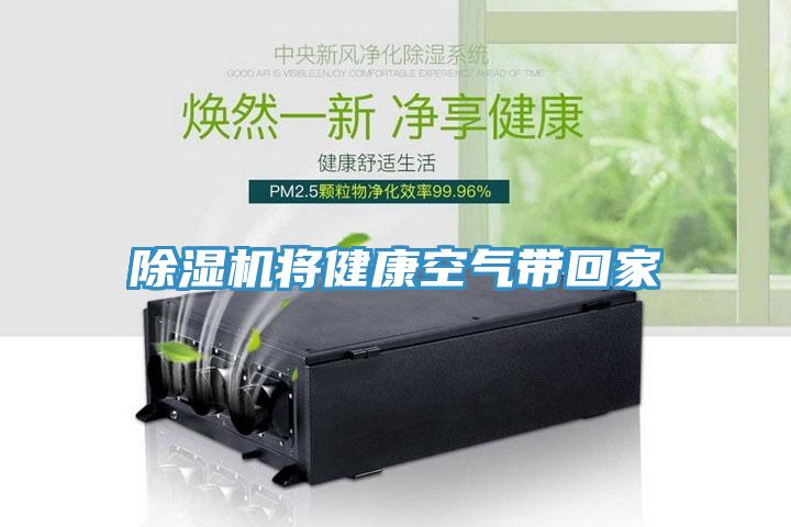 抖音成人版下载将健康空气带回家