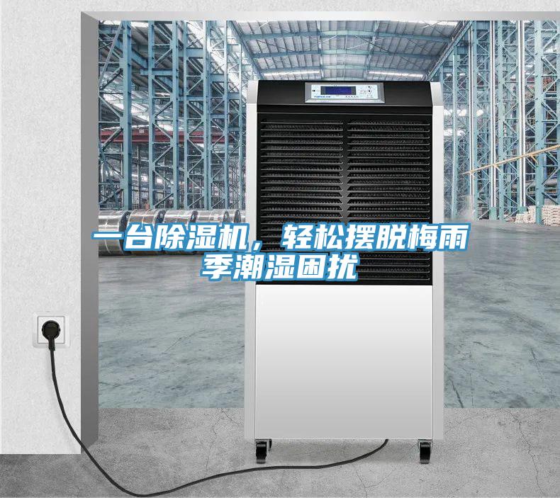 一台抖音成人版下载，轻松摆脱梅雨季潮湿困扰