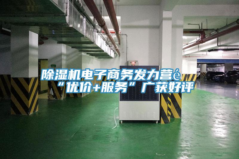 抖音成人版下载电子商务发力营销“优价+服务”广获好评