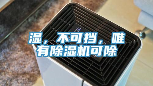 湿，不可挡，唯有抖音成人版下载可除