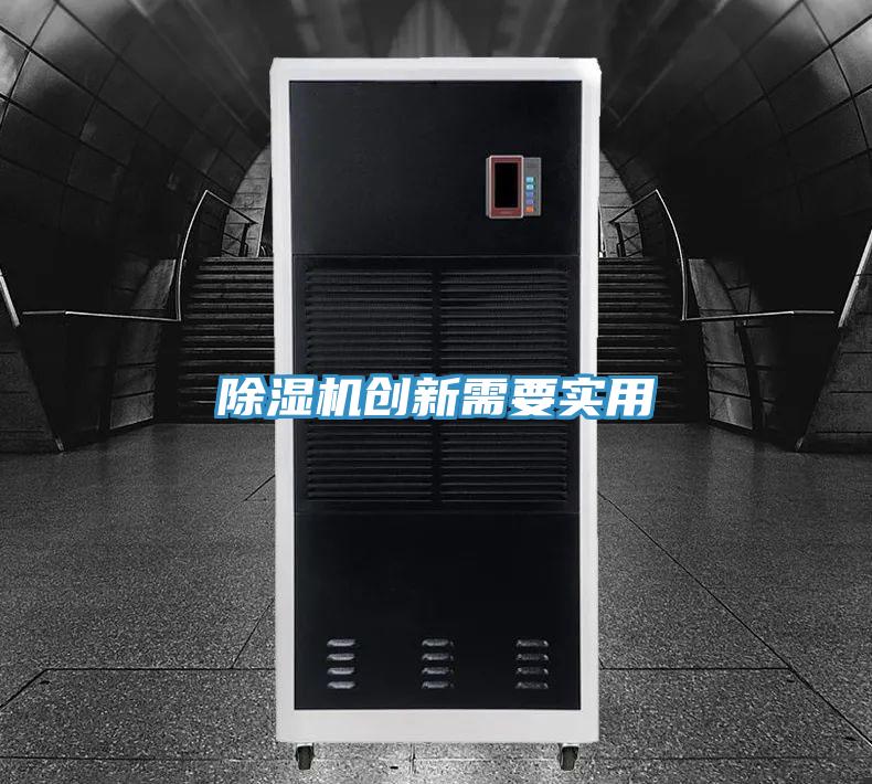 抖音成人版下载创新需要实用