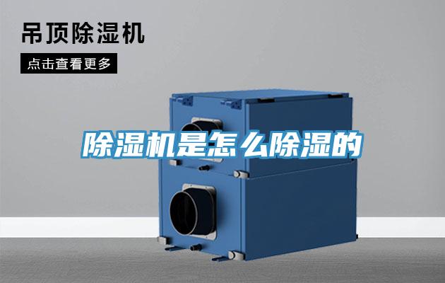 抖音成人版下载是怎么除湿的