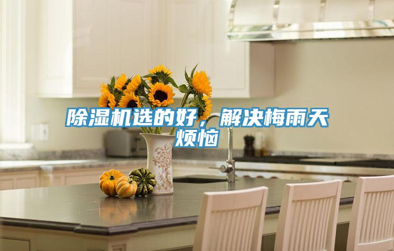 抖音成人版下载选的好，解决梅雨天烦恼