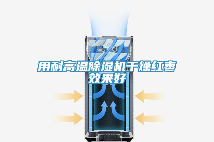 用耐高温抖音成人版下载干燥红枣效果好