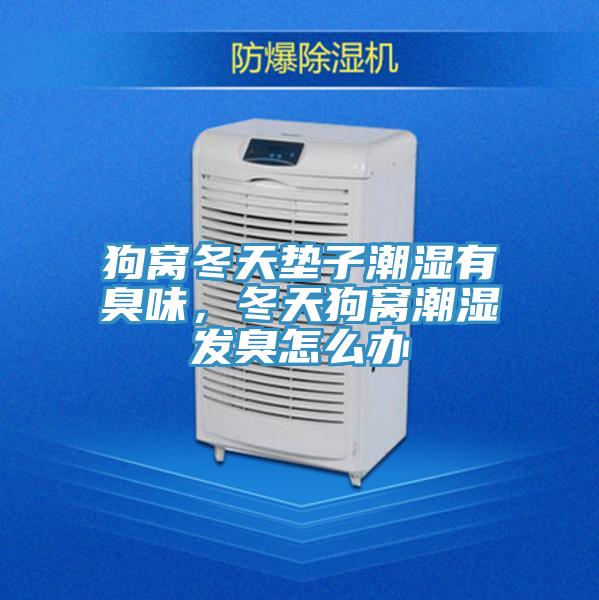 狗窝冬天垫子潮湿有臭味，冬天狗窝潮湿发臭怎么办