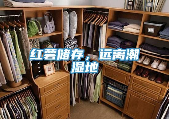 红薯储存，远离潮湿地