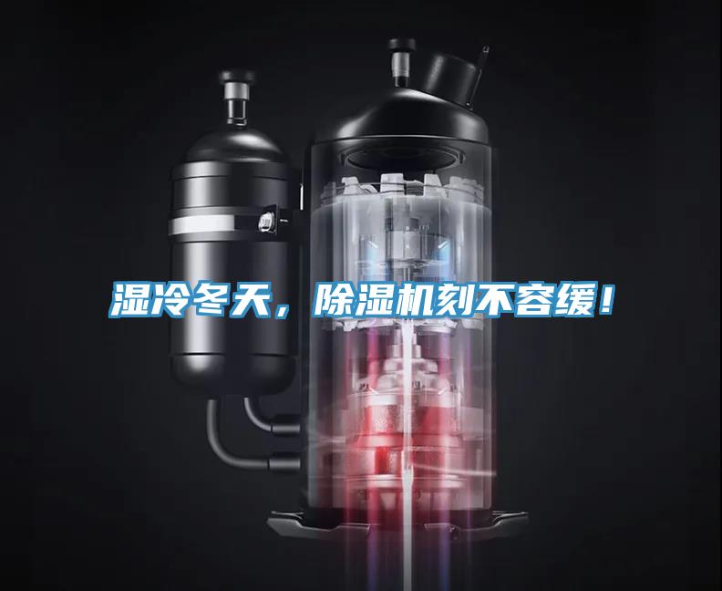 湿冷冬天，抖音成人版下载刻不容缓！