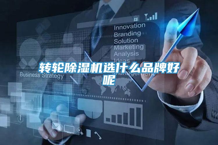 转轮抖音成人版下载选什么品牌好呢