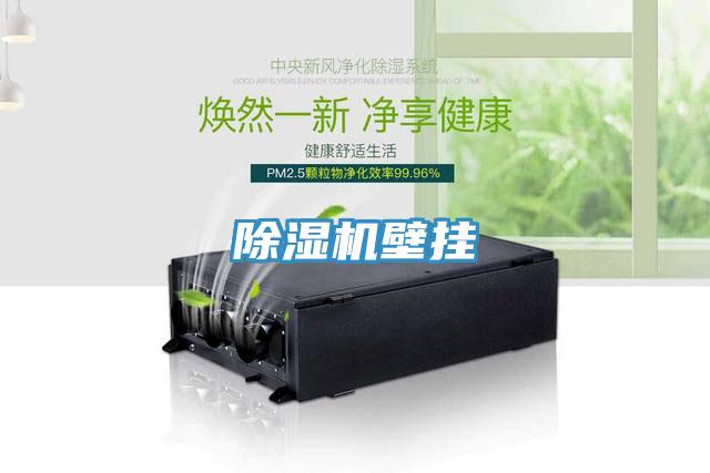 抖音成人版下载壁挂